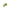 Fir Asso Hard Skin - Siliconed Green 0.22mm 300m 3,175 Kg