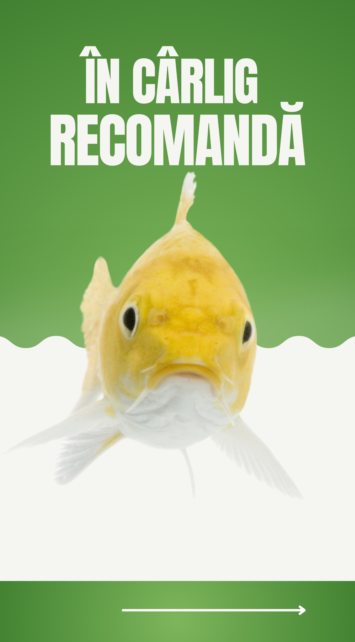 În Cârlig recomandă